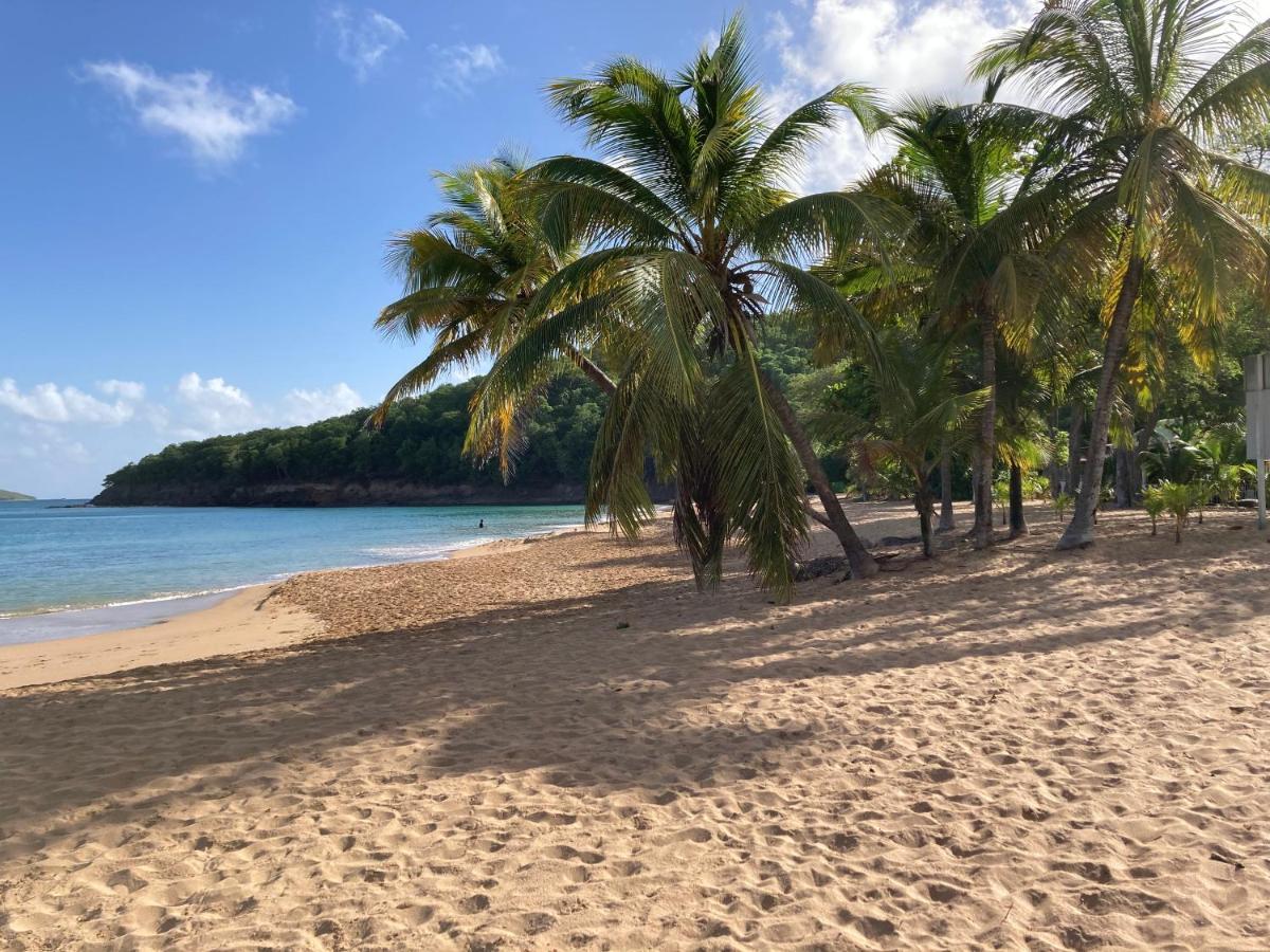Coco-Mango Apt A Deshaies Bagian luar foto